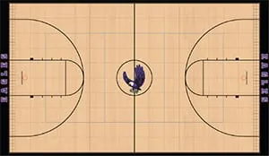 Gym floor design drawing: maple court with a black border, black lines and a purple bird mascot at center court