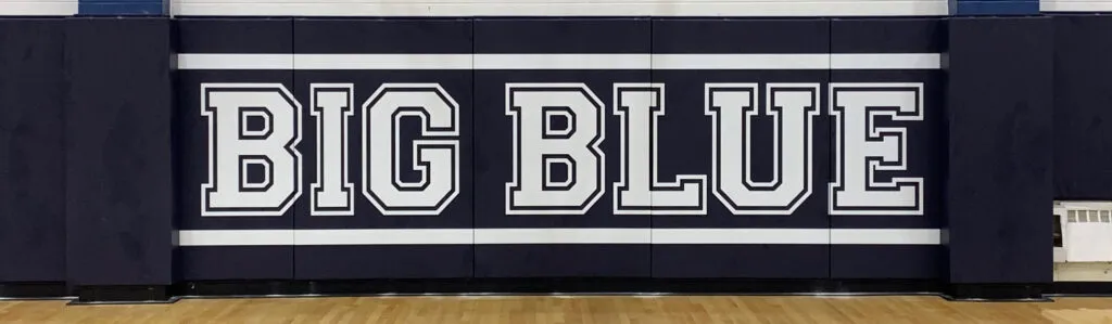 safety gym wall padding
