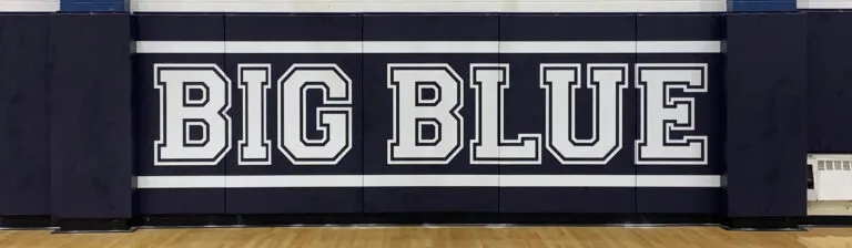 safety gym wall padding