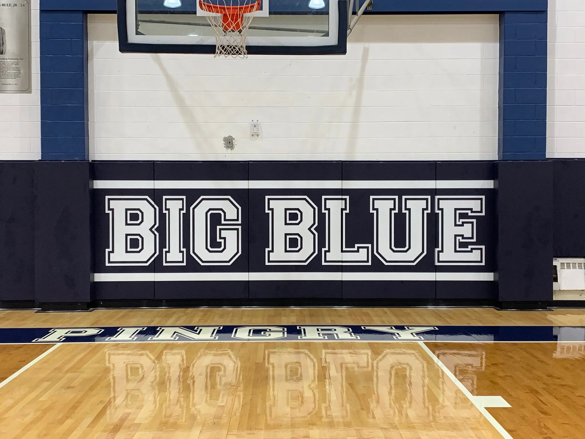 safety gym wall padding