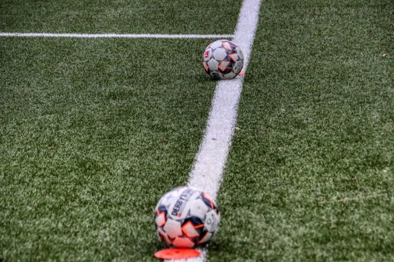 indoor turf buying guide