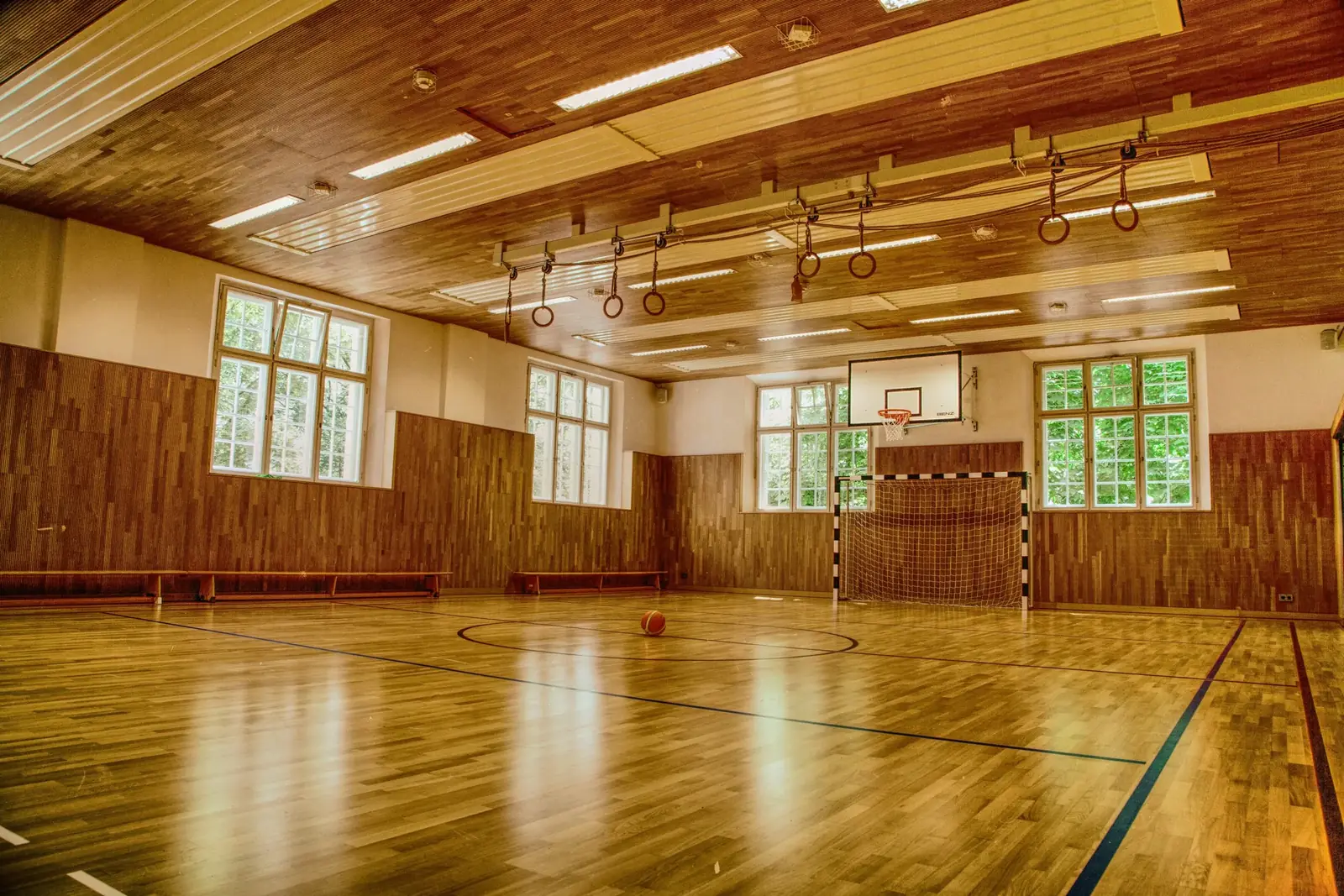 Wood-paneled gym with an amber-toned wood floor and large windows