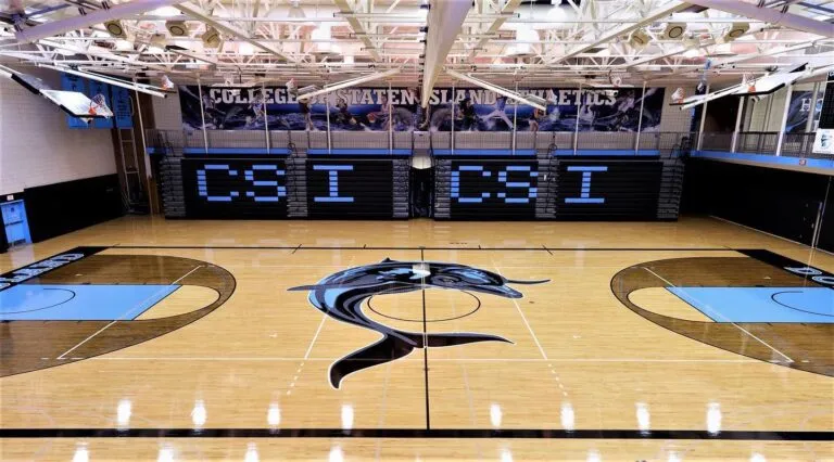 Glossy maple gym floor with a dolphin center-court logo and light blue painted keys