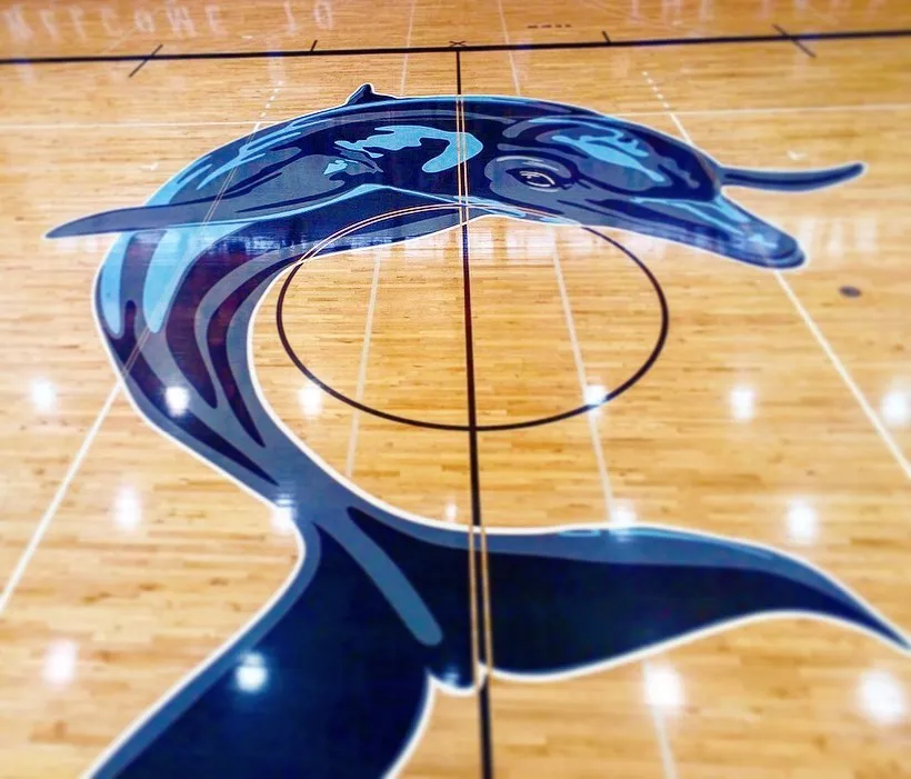 Large navy dolphin logo painted on a glossy maple gym floor