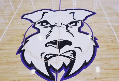Large bulldog head logo painted in purple and white on a maple gym floor