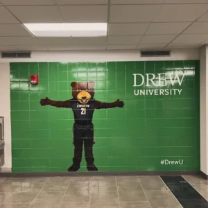 Drew University bear mascot graphic on a green tile wall