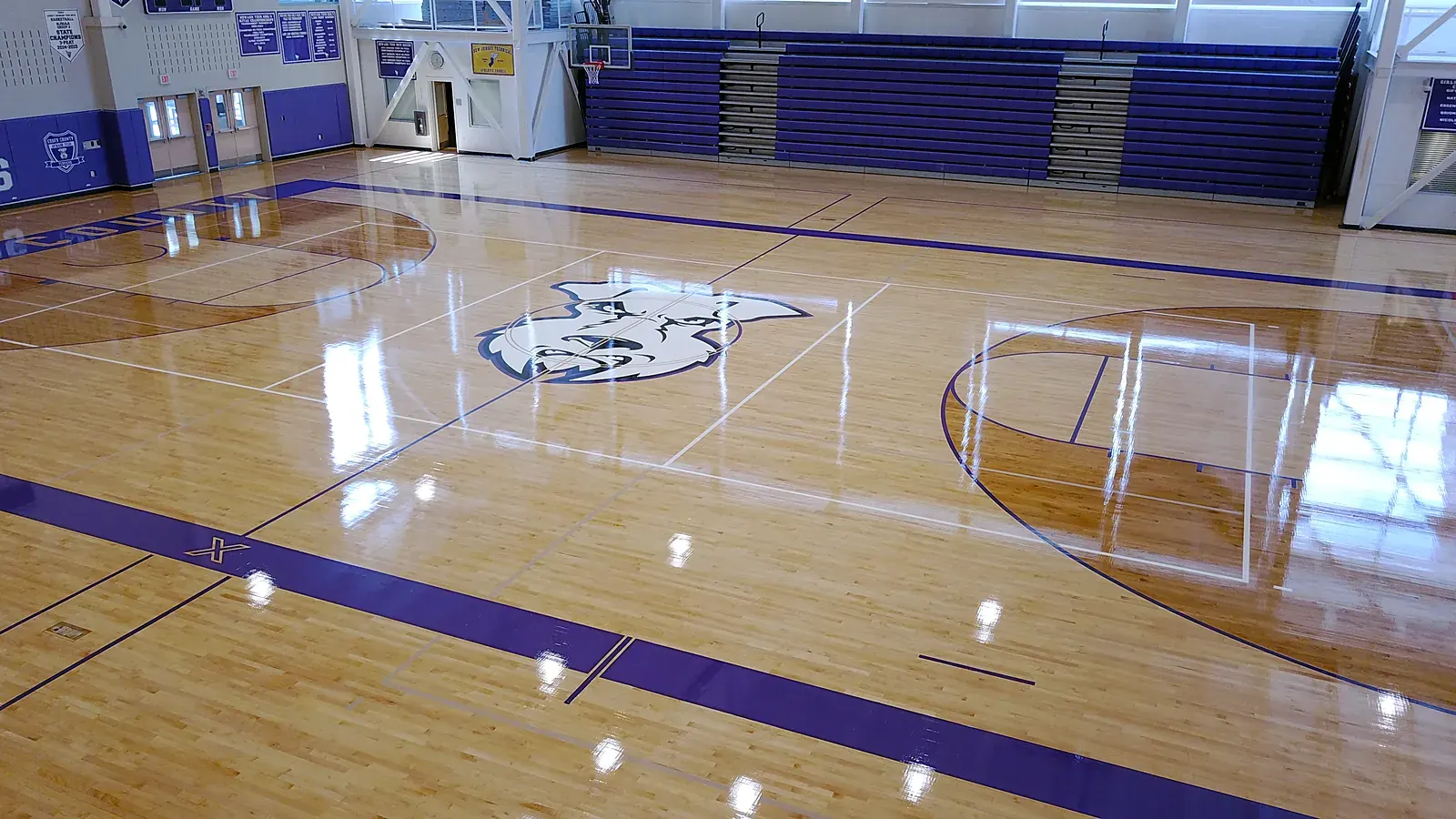 Drone view of a high-gloss maple gym floor with a white terrier center-court logo and purple border and game lines