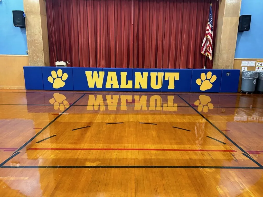 Blue and gold stage pads with paw prints for Walnut